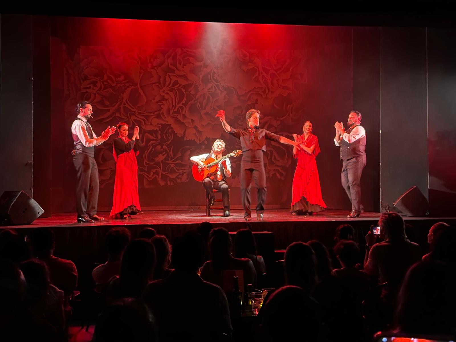 Flamenco night in Madrid
